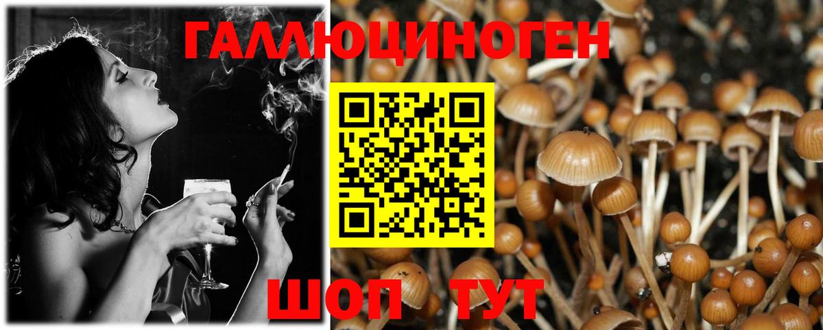 Псилоцибиновые грибы Cubensis Волжск